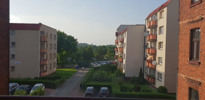 Lokal użytkowy na sprzedaż Chorzów, Chorzów II 1 700m2 Foto 5