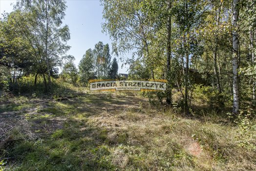 Działka budowlana na sprzedaż Płatków 3 900m2 Foto 11