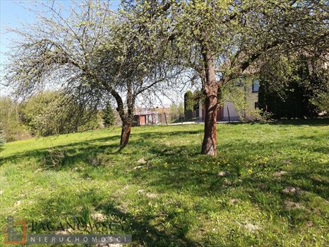 Działka budowlana na sprzedaż Dziekanowice 800m2 Foto 6