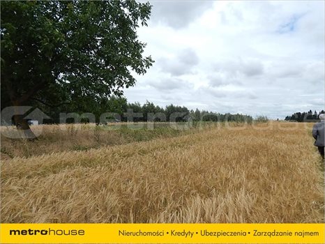 Działka inna na sprzedaż Staw, Chełm 17 400m2 Foto 6