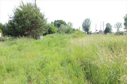 Dom na sprzedaż Raczki Elbląskie, Raczki Elbląskie 166m2 Foto 9