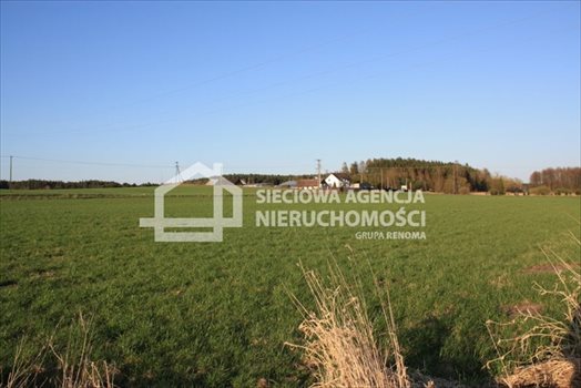 Działka siedliskowa na sprzedaż Stara Kiszewa 8 767m2 Foto 8