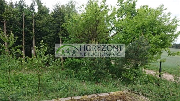 Dom na sprzedaż Borkowo 190m2 Foto 11