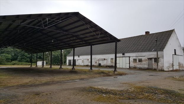 Lokal użytkowy na sprzedaż Szamotuły, Ludwikowo 4 200m2 Foto 9