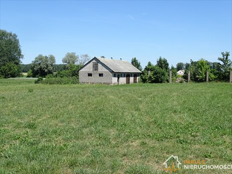 Działka rolna na sprzedaż Sikory-Piotrowięta 3 170m2 Foto 5