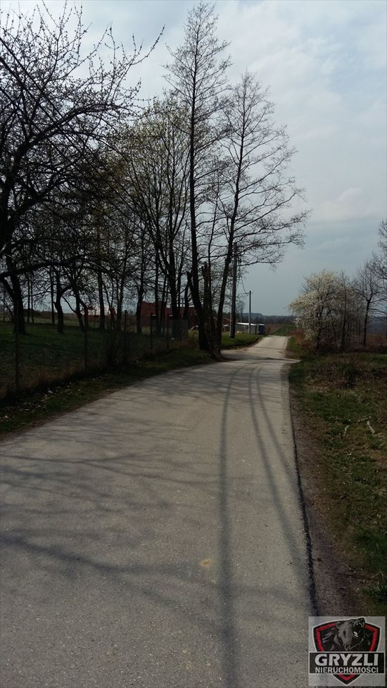 Działka budowlana na sprzedaż Masłomiąca 1 500m2 Foto 4