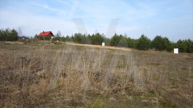 Działka inna na sprzedaż Gołubie, Znana 1 006m2 Foto 7
