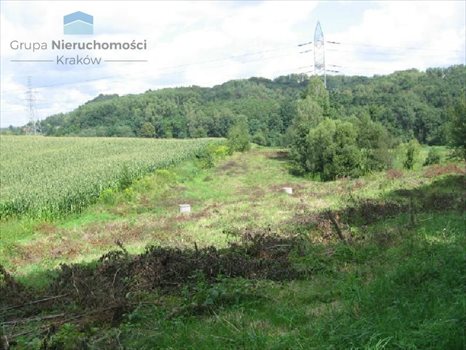 Działka inna na sprzedaż Konary, Brzegi 6 800m2 Foto 3