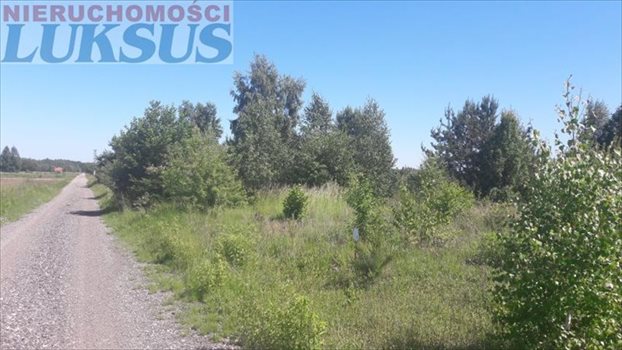 Działka budowlana na sprzedaż Nowe Racibory, Nowe Racibory 1 100m2 Foto 4