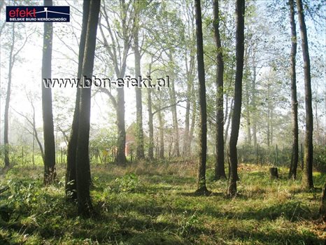 Działka inna na sprzedaż Jaworze 3 390m2 Foto 8