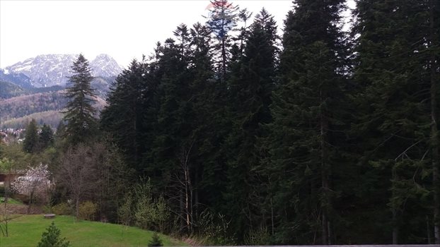 Mieszkanie na sprzedaż Kościelisko, Karpielówka, Karpielówka 130m2 Foto 6