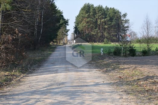 Działka budowlana na sprzedaż Stare Polaszki 6 251m2 Foto 6