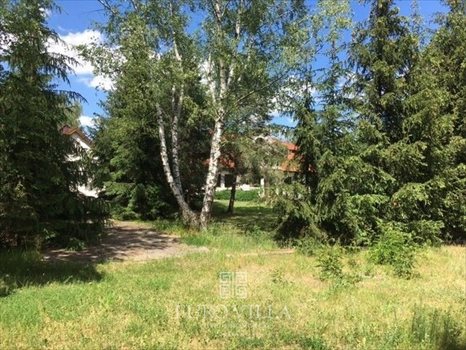 Działka budowlana na sprzedaż Konstancin-Jeziorna 4 000m2 Foto 6