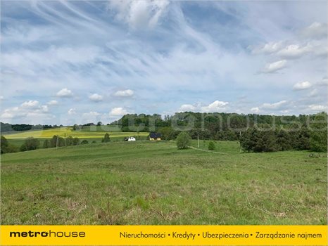 Działka inna na sprzedaż Trzepowo, Przywidz 1 002m2 Foto 2