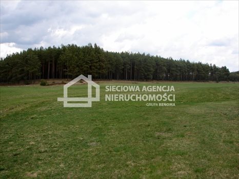 Działka leśna na sprzedaż Małe Chełmy 165 900m2 Foto 10