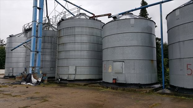 Lokal użytkowy na sprzedaż Szamotuły, Ludwikowo 4 200m2 Foto 5