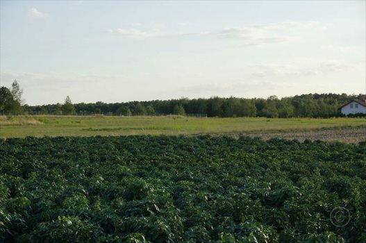 Działka inna na sprzedaż Astachowice 1 170m2 Foto 6