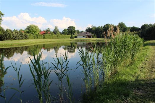 Dom na sprzedaż Rydzyny 240m2 Foto 2