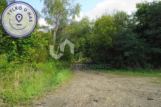 Działka inwestycyjna na sprzedaż Piekary Śląskie, Brzeziny Śląskie, Bednorza 30 775m2 Foto 6