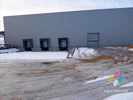 Lokal użytkowy na wynajem Dorotowo 1 200m2 Foto 3