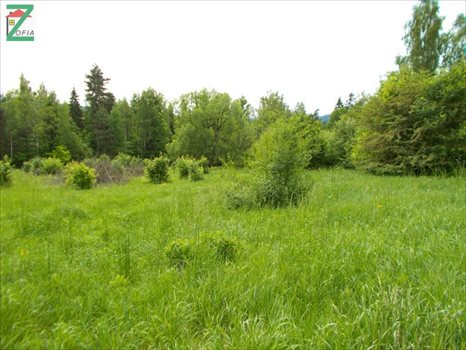 Działka budowlana na sprzedaż RABKA-ZDRÓJ 1 500m2 Foto 1