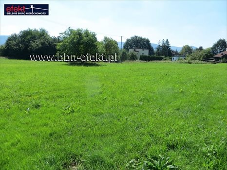 Działka budowlana na sprzedaż Jasienica 5 804m2 Foto 4