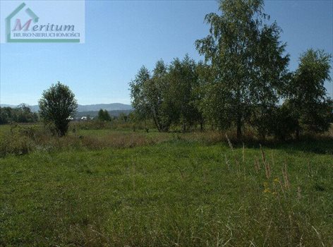 Działka budowlana na sprzedaż Nowy Sącz 2 436m2 Foto 4