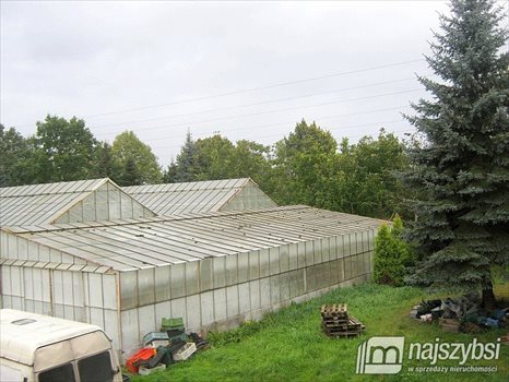 Dom na sprzedaż Płoty, obrzeża Płot 290m2 Foto 12