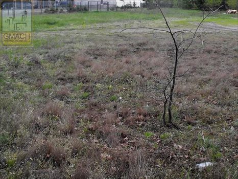 Działka budowlana na sprzedaż Wołomin, al. gen. Władysława Sikorskiego 960m2 Foto 2