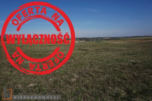 Działka budowlana na sprzedaż Raciborowice 1 450m2 Foto 8