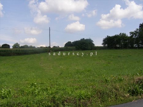 Działka inwestycyjna na sprzedaż Libertów 14 200m2 Foto 2