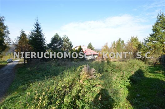 Działka budowlana na sprzedaż Krzywaczka 2 300m2 Foto 3
