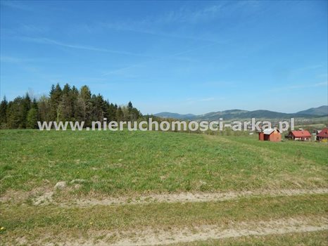 Działka budowlana na sprzedaż Kasina Wielka 3 300m2 Foto 4