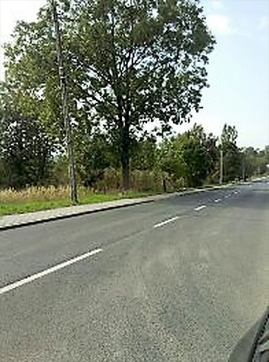 Działka budowlana na sprzedaż Zabrze, ul. Grunwaldzka 5 260m2 Foto 2