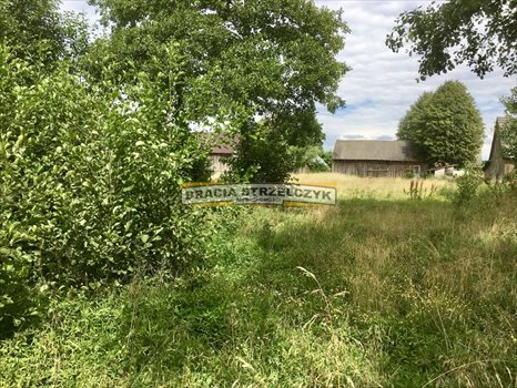 Działka siedliskowa na sprzedaż Stara Osuchowa 3 700m2 Foto 4
