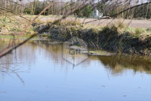 Działka budowlana na sprzedaż Stare Polaszki 6 251m2 Foto 8