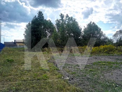 Działka przemysłowo-handlowa na sprzedaż Racibórz 9 502m2 Foto 2