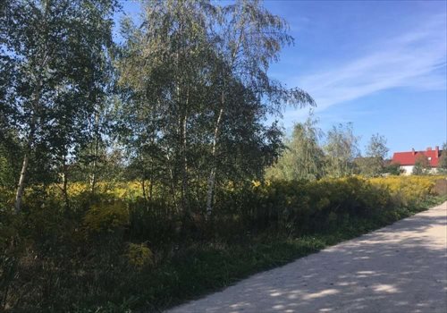 Działka budowlana na sprzedaż Paczkowo, Budowlana 830m2 Foto 3