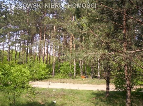 Działka budowlana na sprzedaż Józefów, Wiązowska 2 256m2 Foto 4