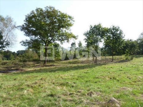 Działka budowlana na sprzedaż Księginice Małe, Jagodowa 5 000m2 Foto 1