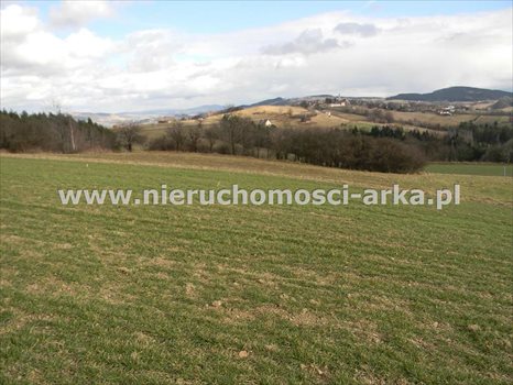 Działka inna na sprzedaż Limanowa 450m2 Foto 2