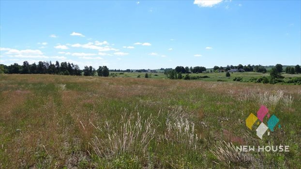 Działka rolna na sprzedaż Maruny 3 000m2 Foto 7