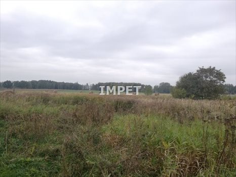 Działka inna na sprzedaż Trójca 1 859m2 Foto 1