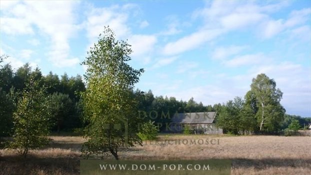 Działka budowlana na sprzedaż Borowiny 3 178m2 Foto 1