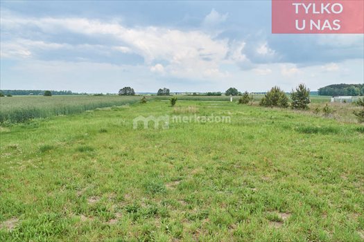 Działka budowlana na sprzedaż Radzewo 1 849m2 Foto 5