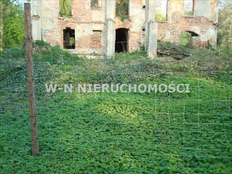 Lokal użytkowy na sprzedaż Bytom Odrzański, Bodzów 9 600m2 Foto 12