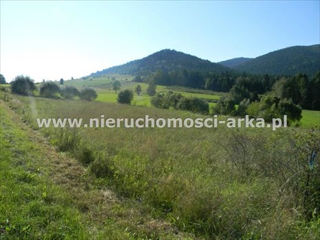 Działka budowlana na sprzedaż Dobra 1 700m2 Foto 2