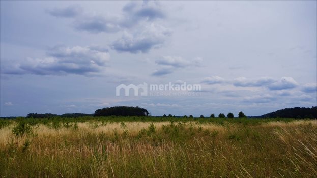 Działka rolna na sprzedaż Grzybowo 21 116m2 Foto 7