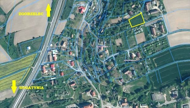 Działka inna na sprzedaż Działoszyn 2 100m2 Foto 3