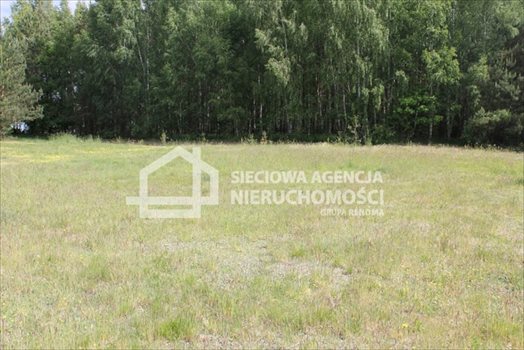 Działka budowlana na sprzedaż Lubowidz 950m2 Foto 2
